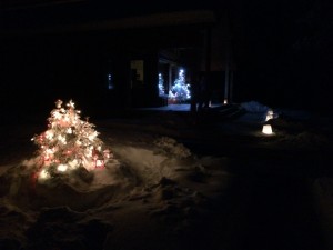 IMG_1230[1]