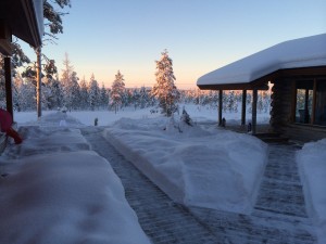 IMG_1288