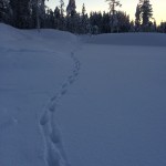 IMG_1292