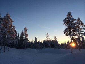 IMG_1295