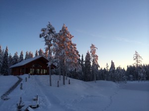 IMG_1296