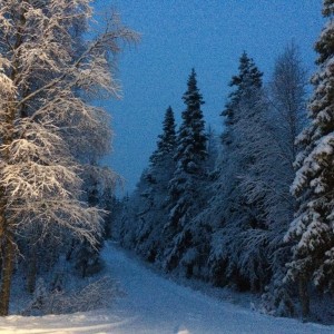 Syksy2015