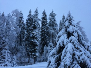 IMG_2052[1]