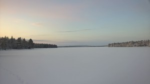IMG_2176[1]