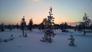 IMG_2180[1]