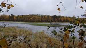 Naatikkalampi-syksy-2017