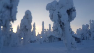 Pyhävaara_2018