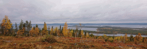 kitkanmaisemia
